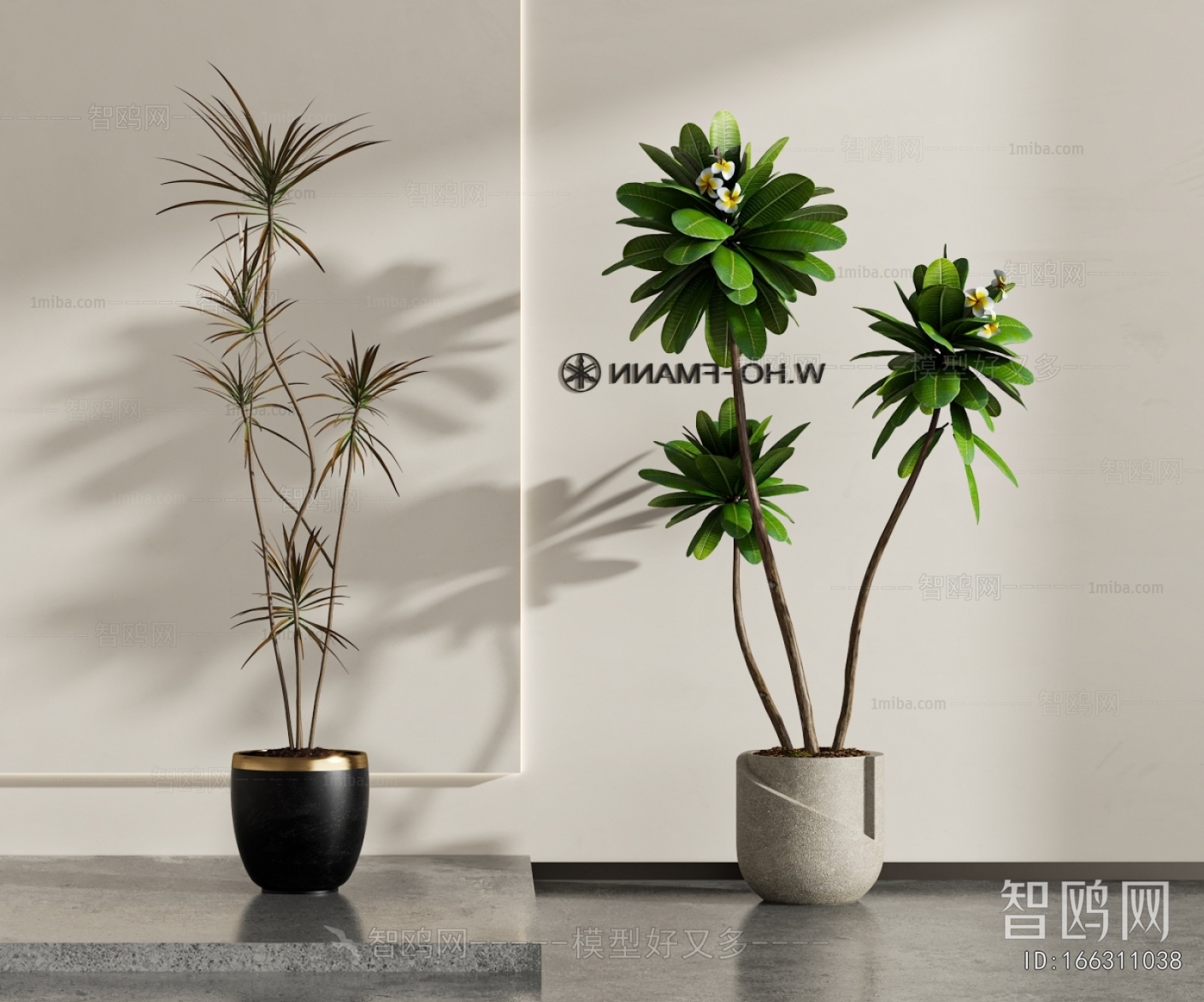 Modern Ground Green Plant Potted Plants