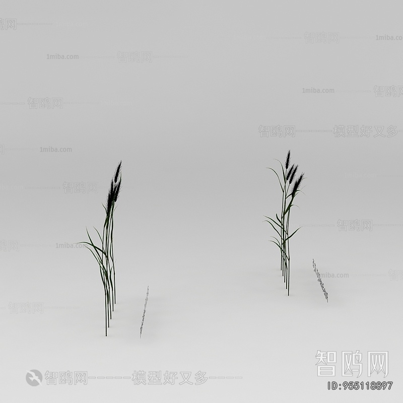 New Classical Style The Grass
