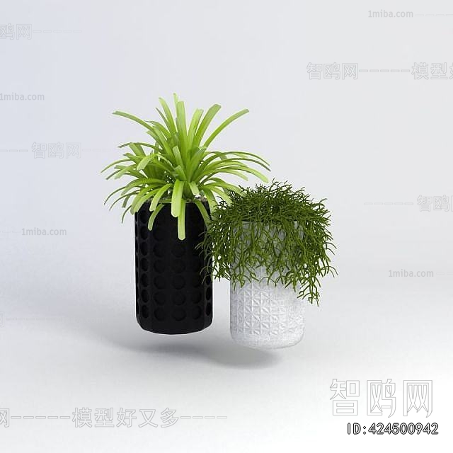 Modern Potted Green Plant