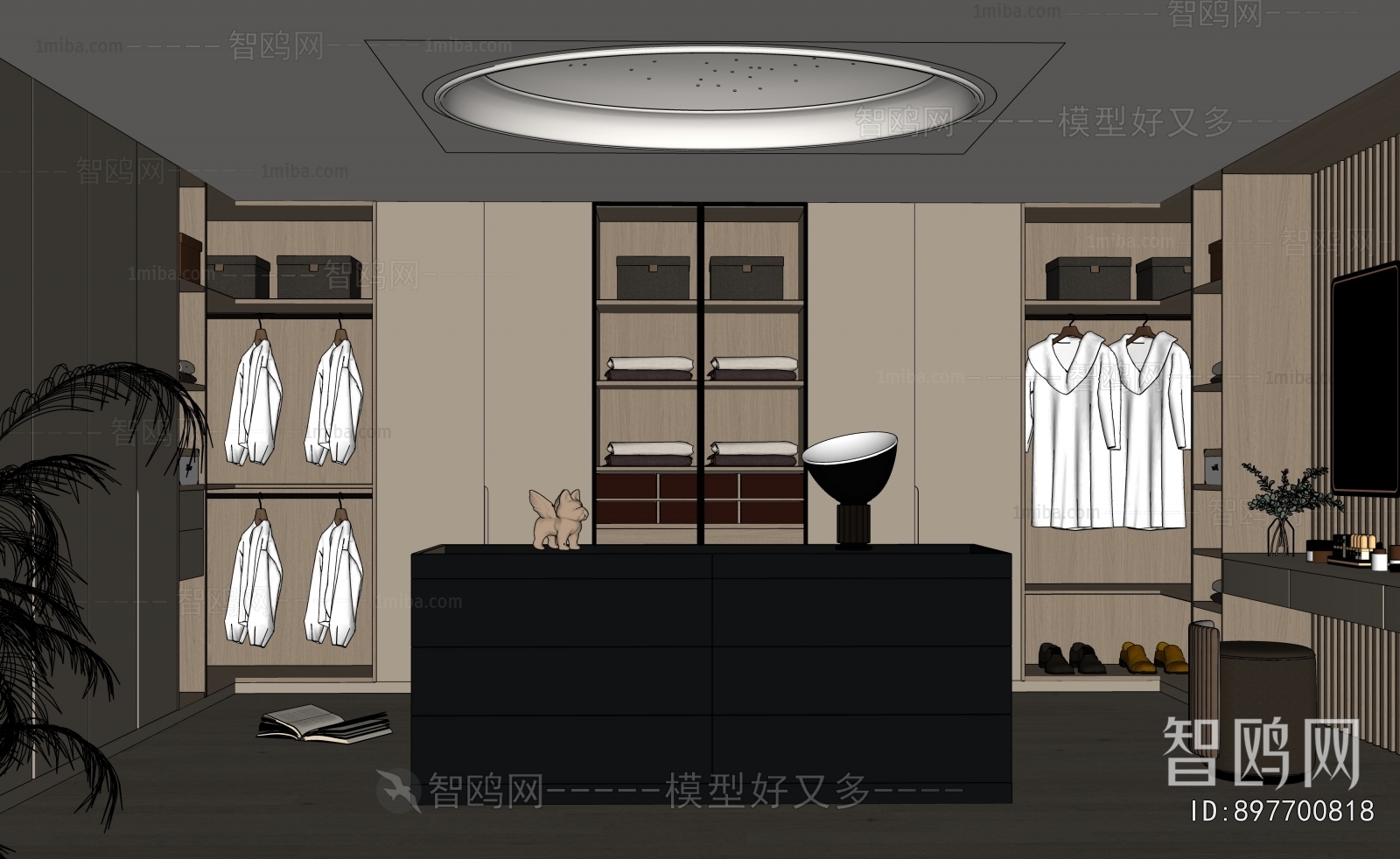 Modern Clothes Storage Area