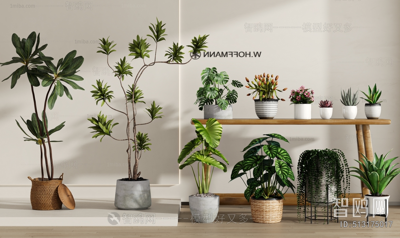Modern Ground Green Plant Potted Plants