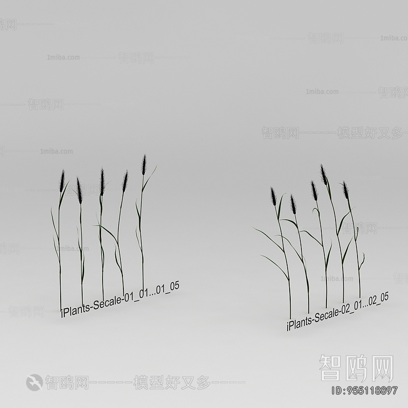 New Classical Style The Grass