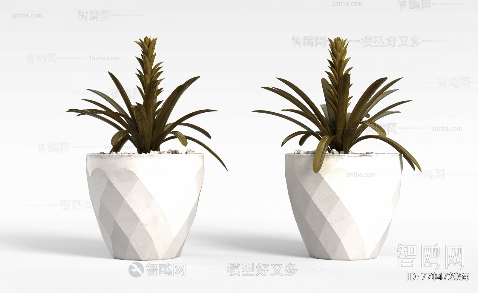 Modern Potted Green Plant