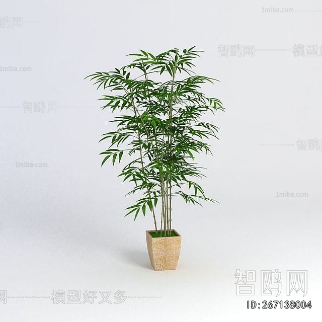 Modern Bamboo