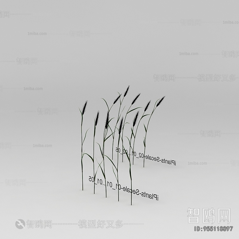 New Classical Style The Grass