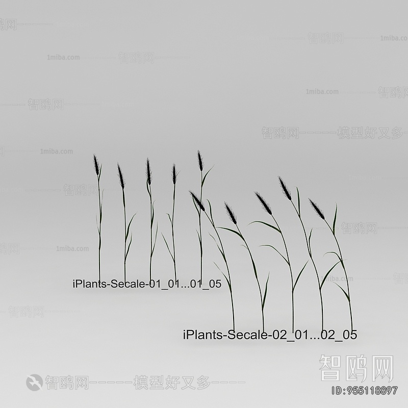 New Classical Style The Grass