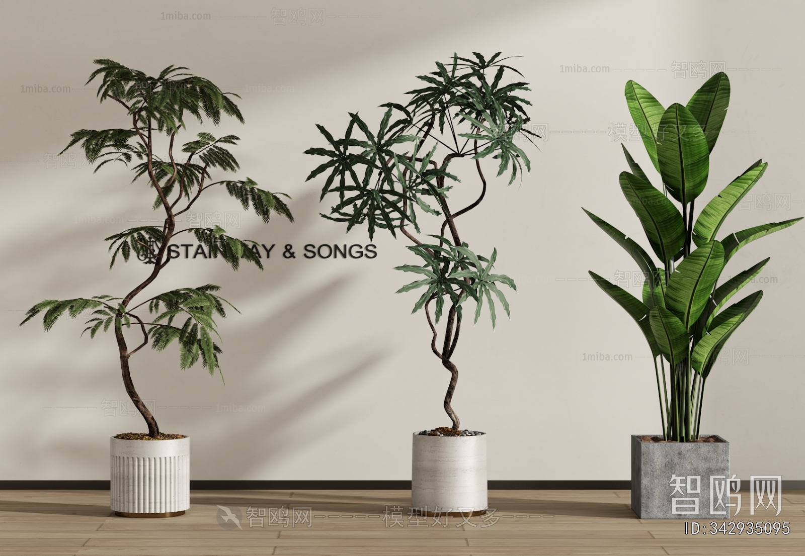 Modern Ground Green Plant Potted Plants