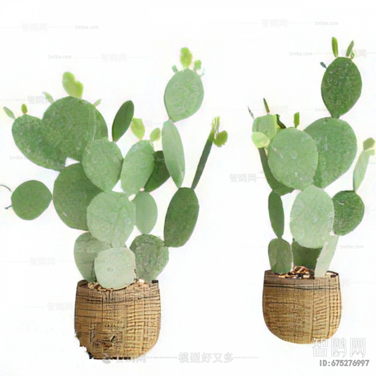 Modern Ground Green Plant Potted Plants