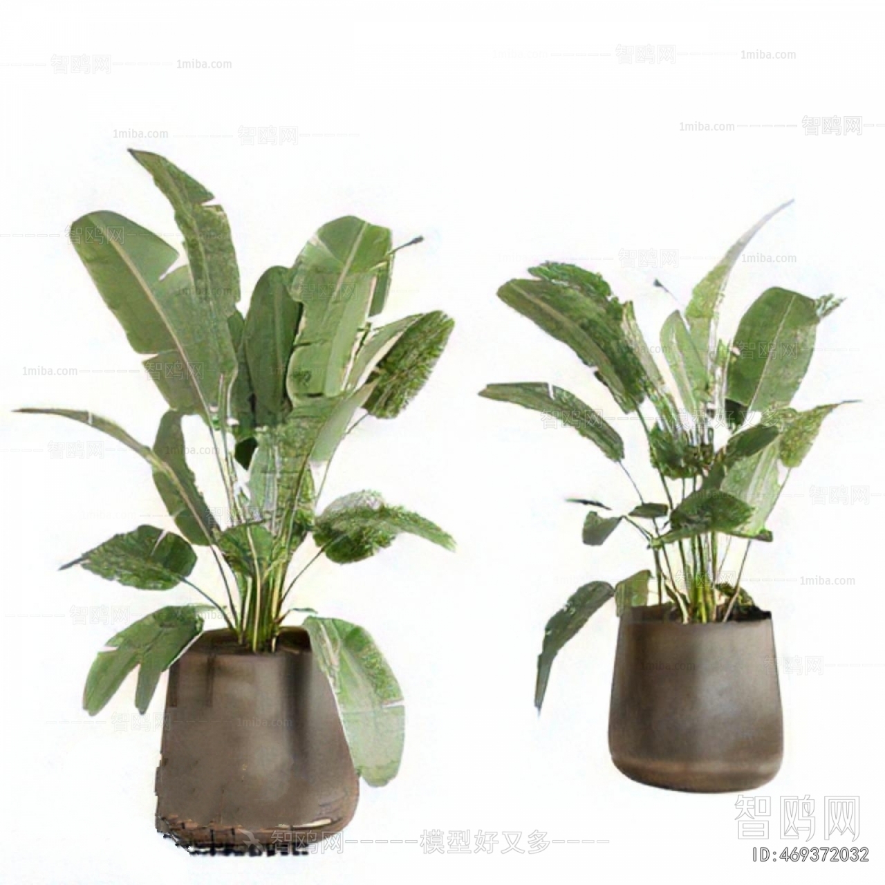 Modern Ground Green Plant Potted Plants