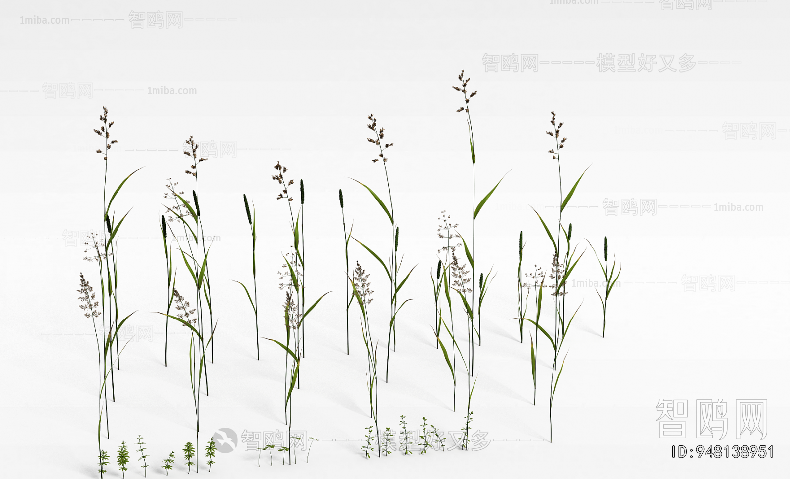 Modern Flowers And Grass