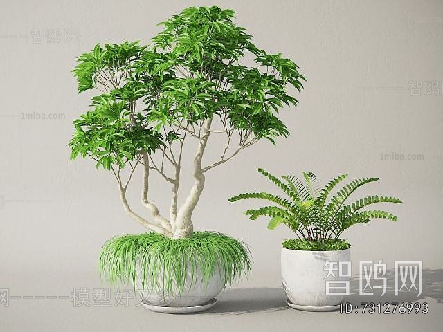 Modern Potted Green Plant