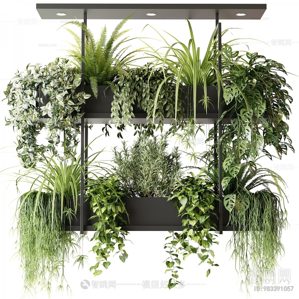 Modern Potted Green Plant