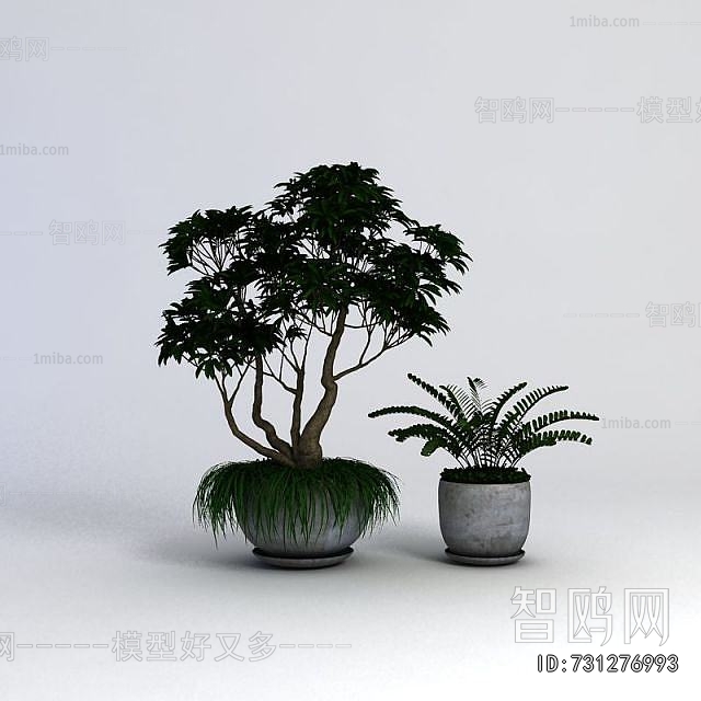 Modern Potted Green Plant