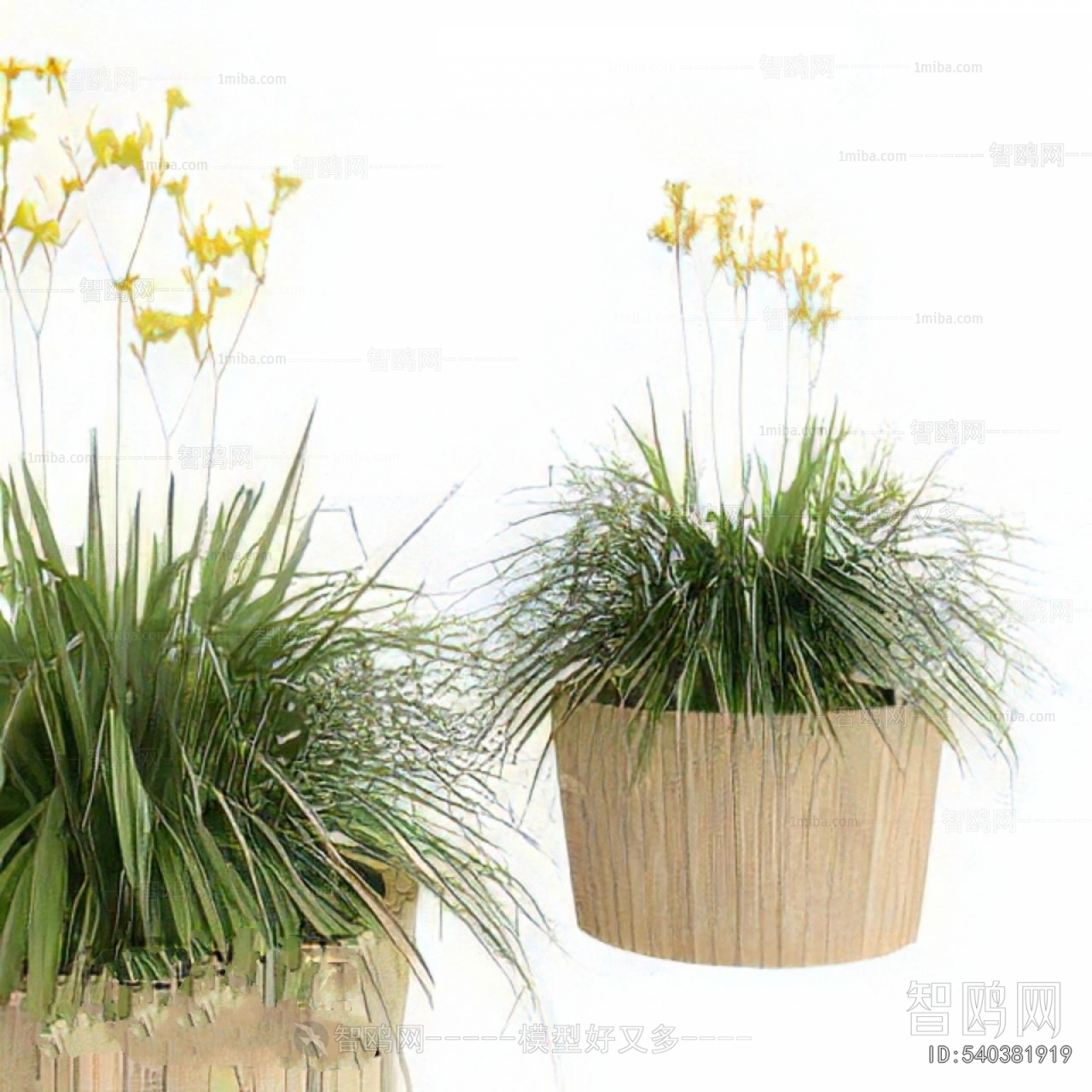 Modern Ground Green Plant Potted Plants