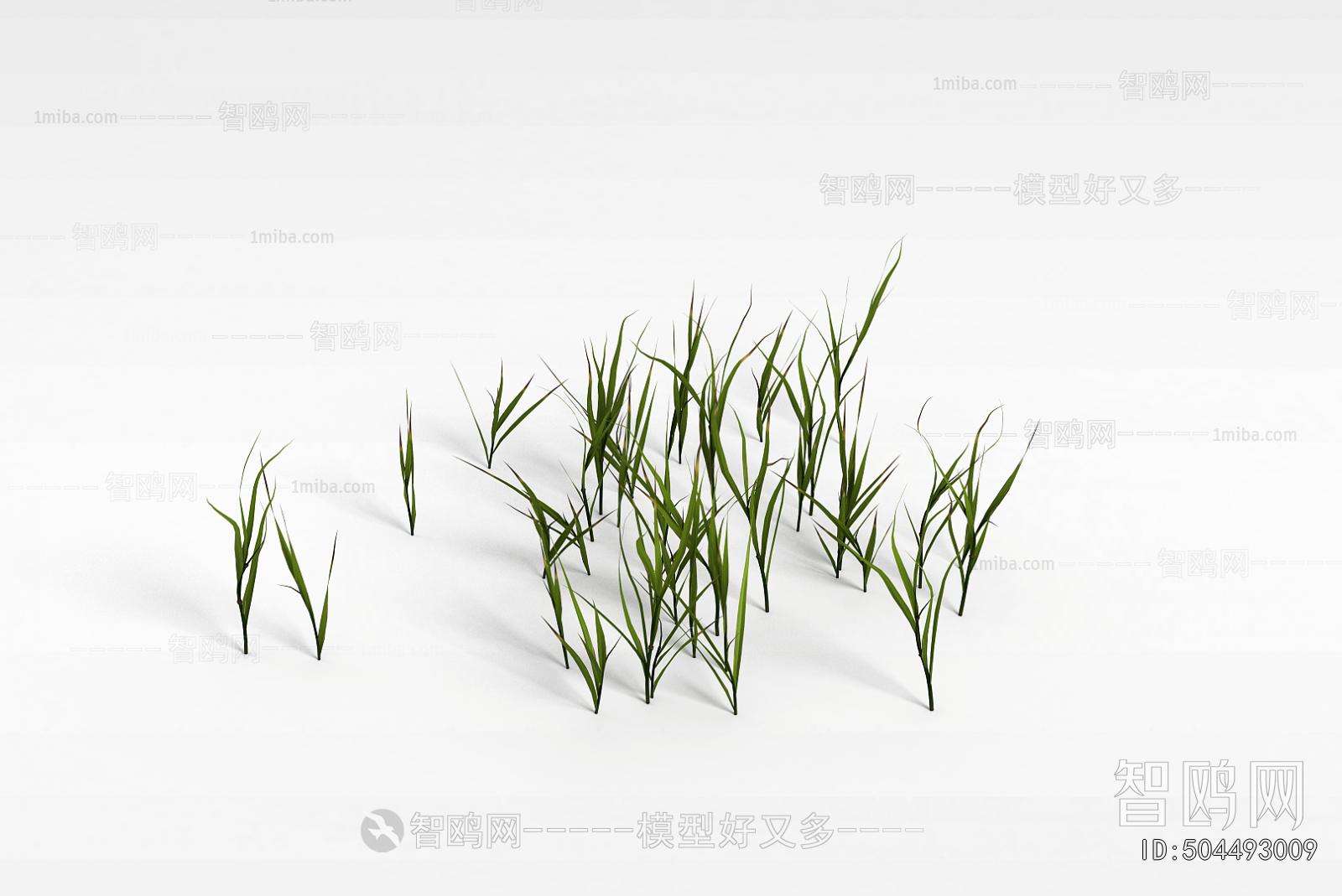 Modern The Grass