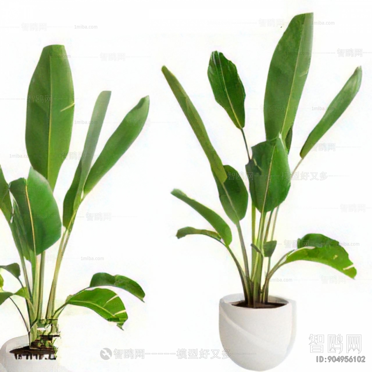 Modern Ground Green Plant Potted Plants