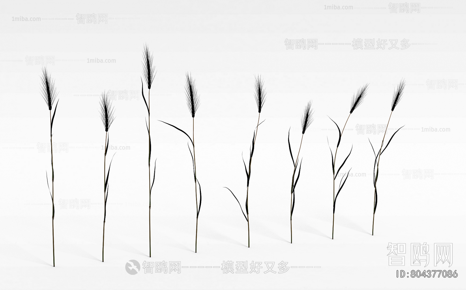 Modern The Grass