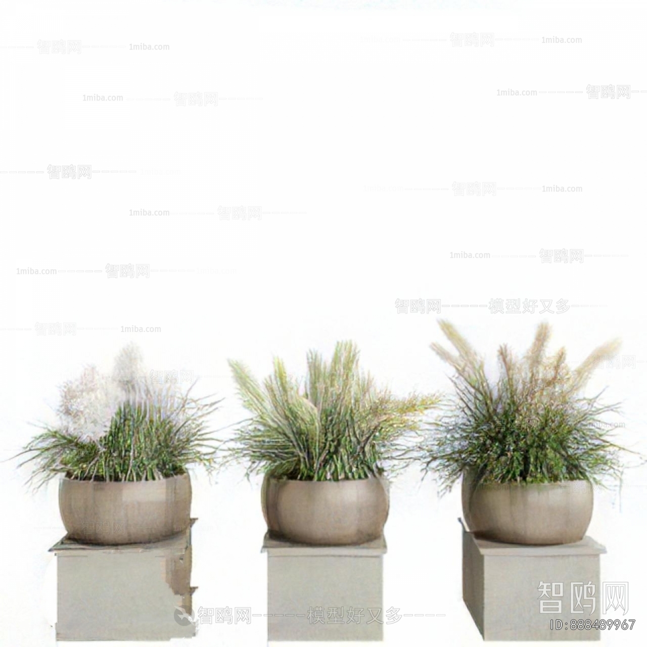 Modern Potted Green Plant