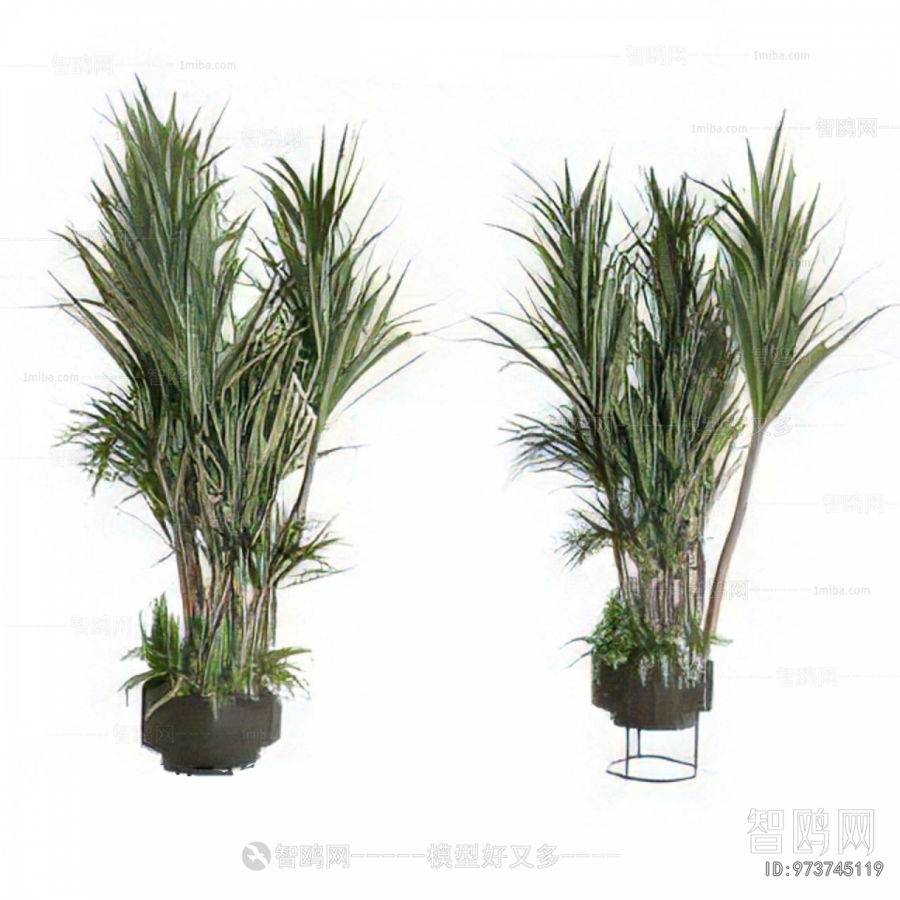 Modern Ground Green Plant Potted Plants