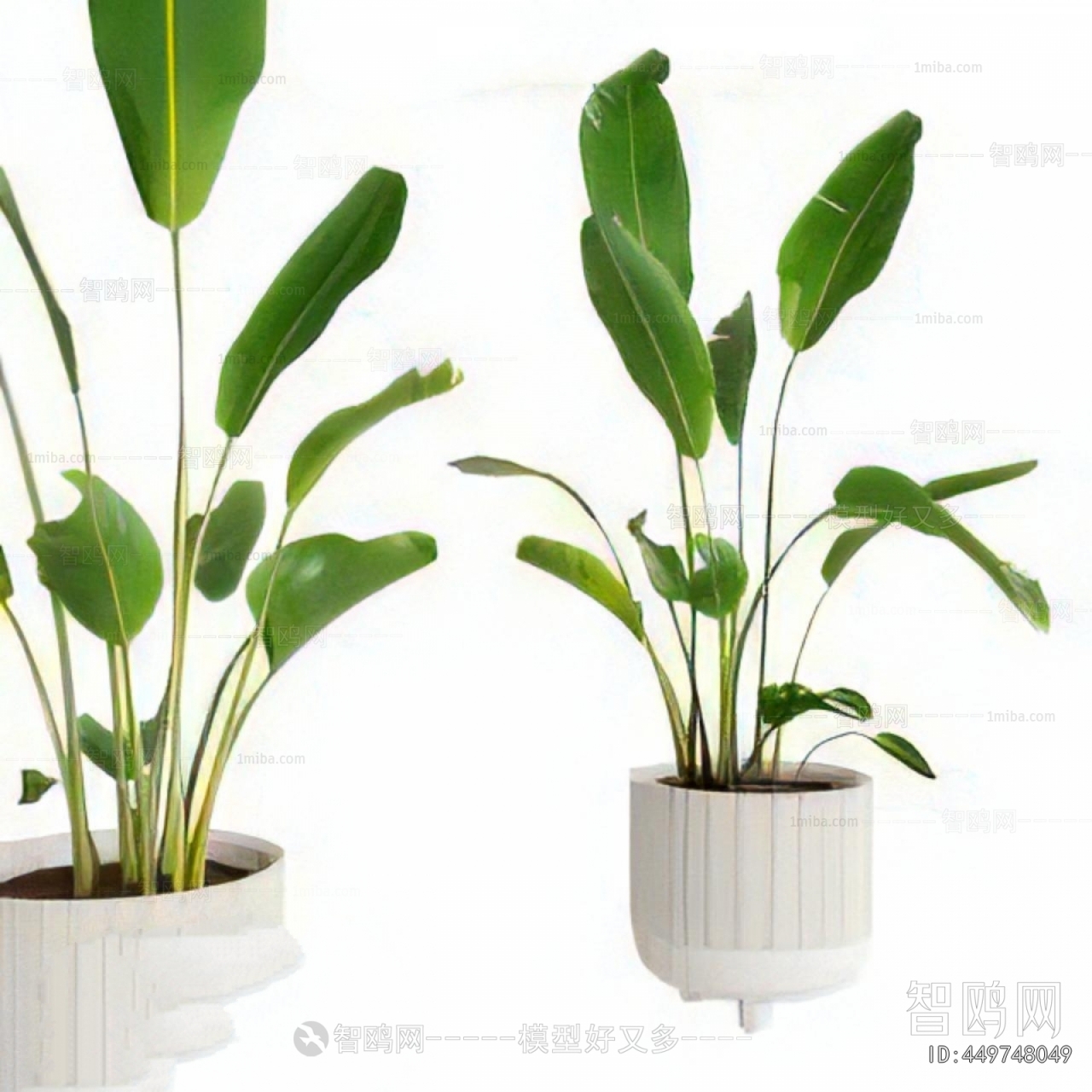 Modern Ground Green Plant Potted Plants