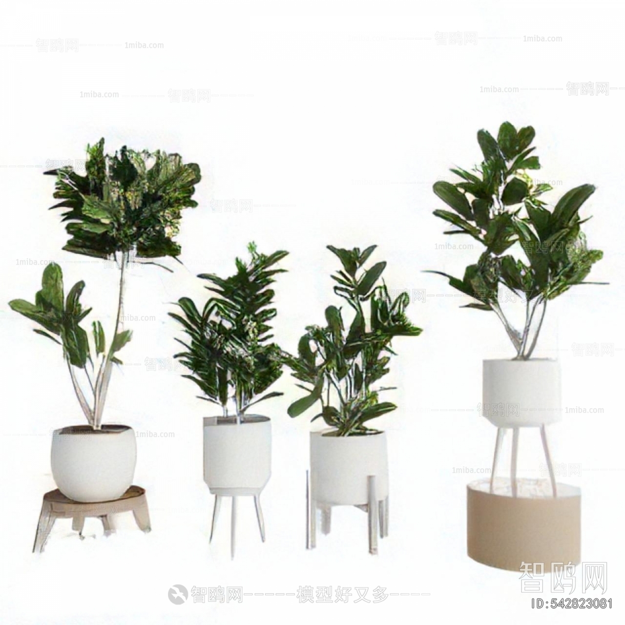 Modern Ground Green Plant Potted Plants