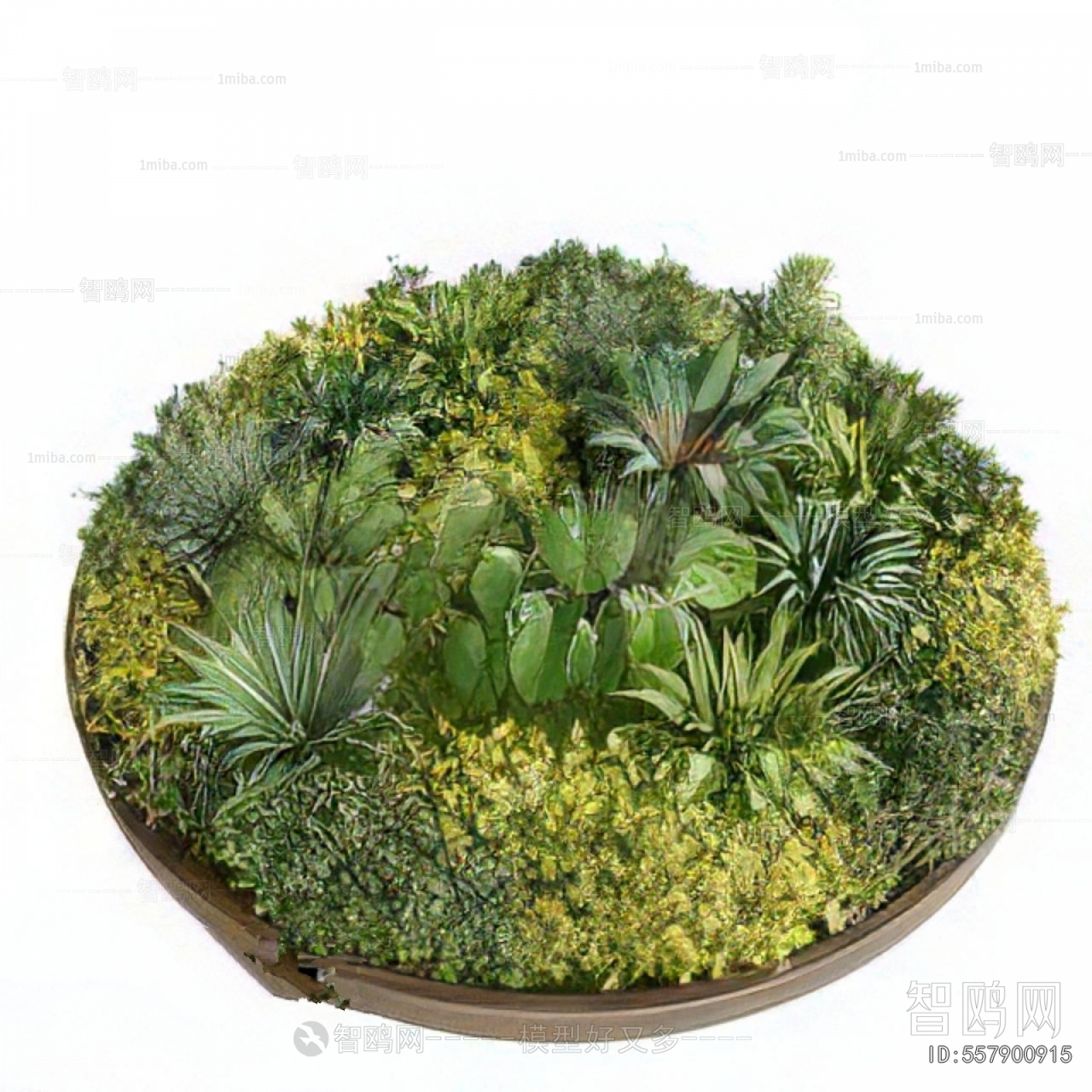 Modern Flower Bed, Flower Bowl, Flower Box