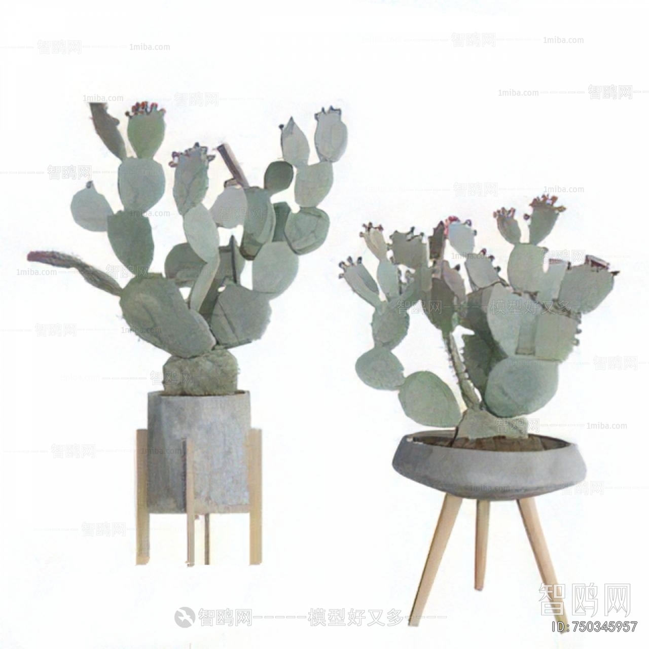 Modern Potted Green Plant