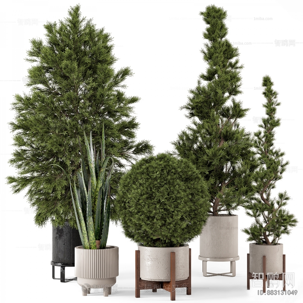 Modern Ground Green Plant Potted Plants