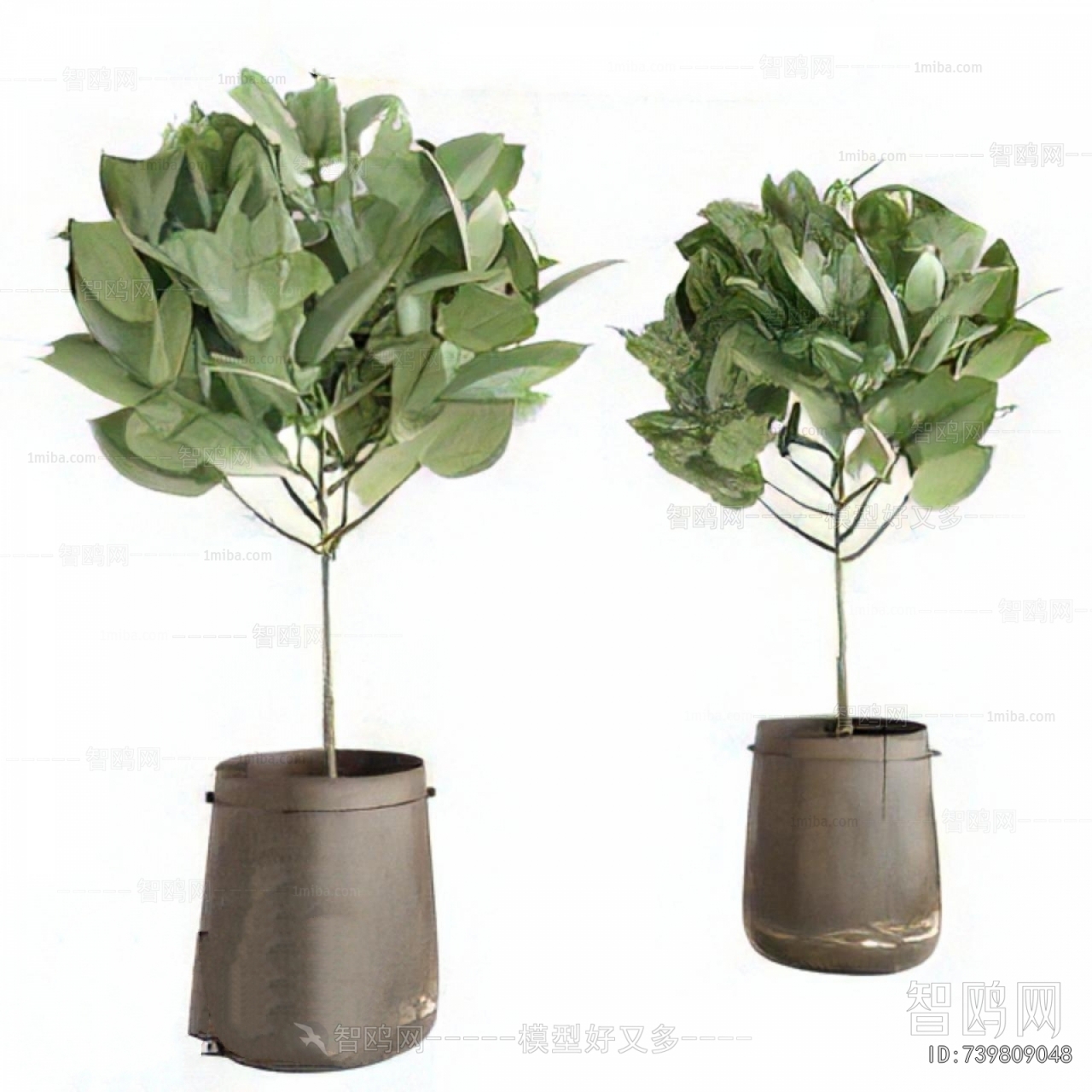 Modern Ground Green Plant Potted Plants