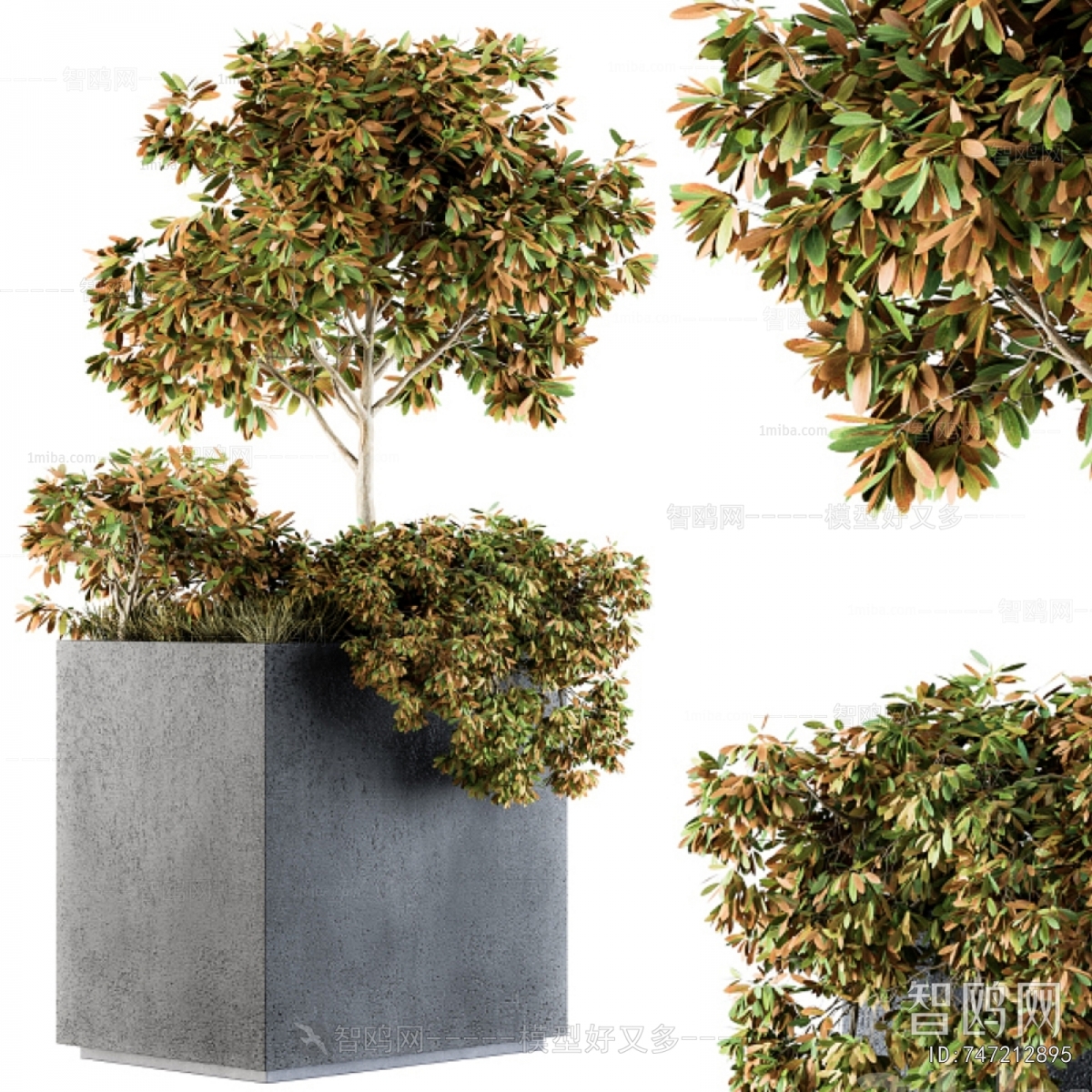 Modern Flower Bed, Flower Bowl, Flower Box