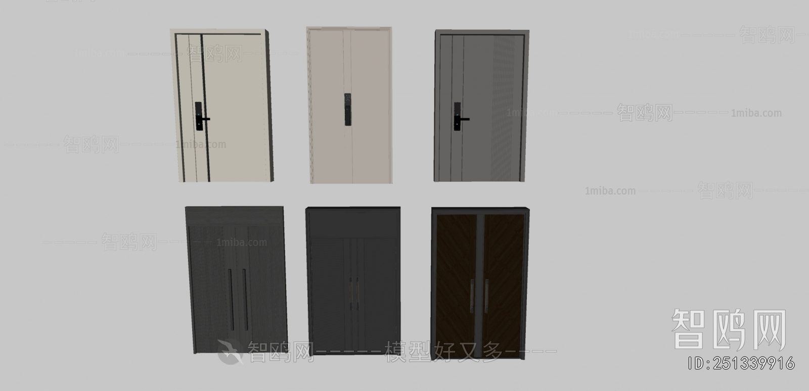 Modern Entrance Door