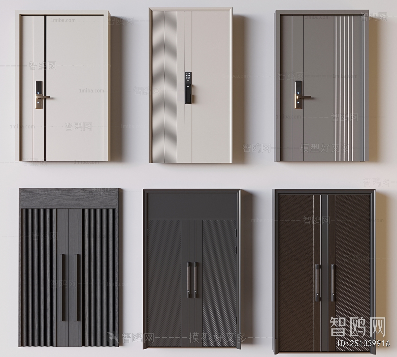 Modern Entrance Door