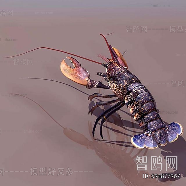 Modern Aquatic Animals