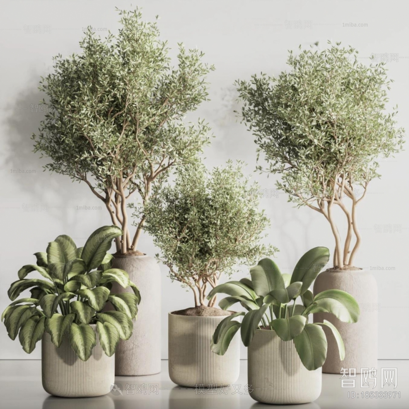 Modern Ground Green Plant Potted Plants