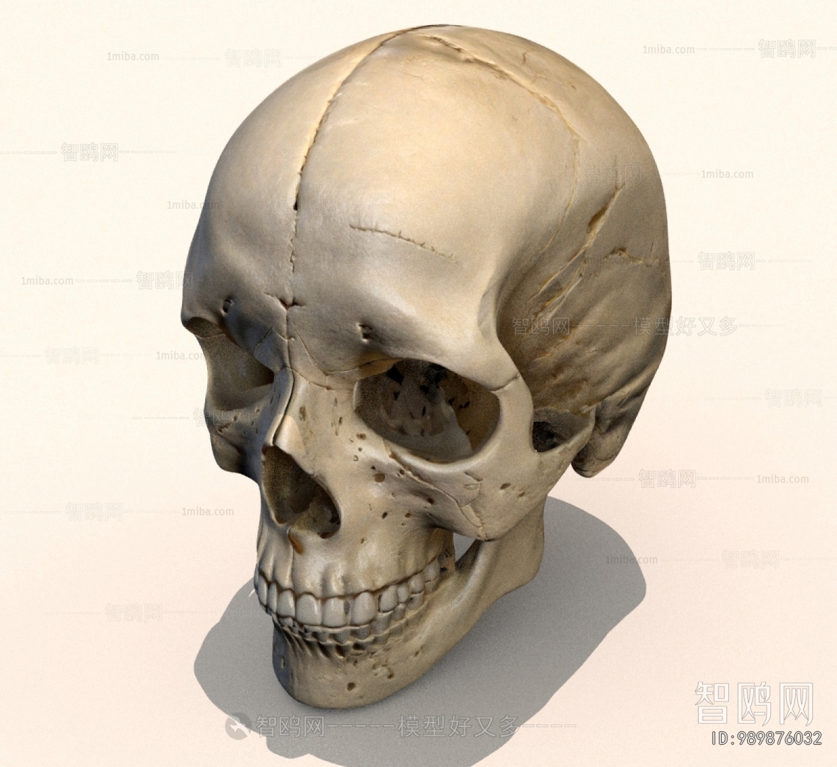 Modern Medical Equipment