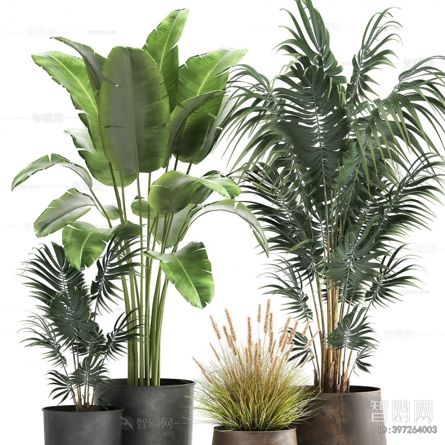 Modern Ground Green Plant Potted Plants
