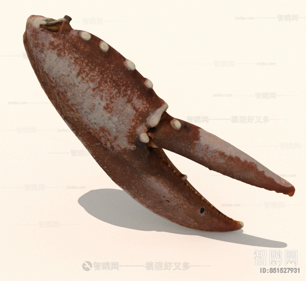 Modern Aquatic Product