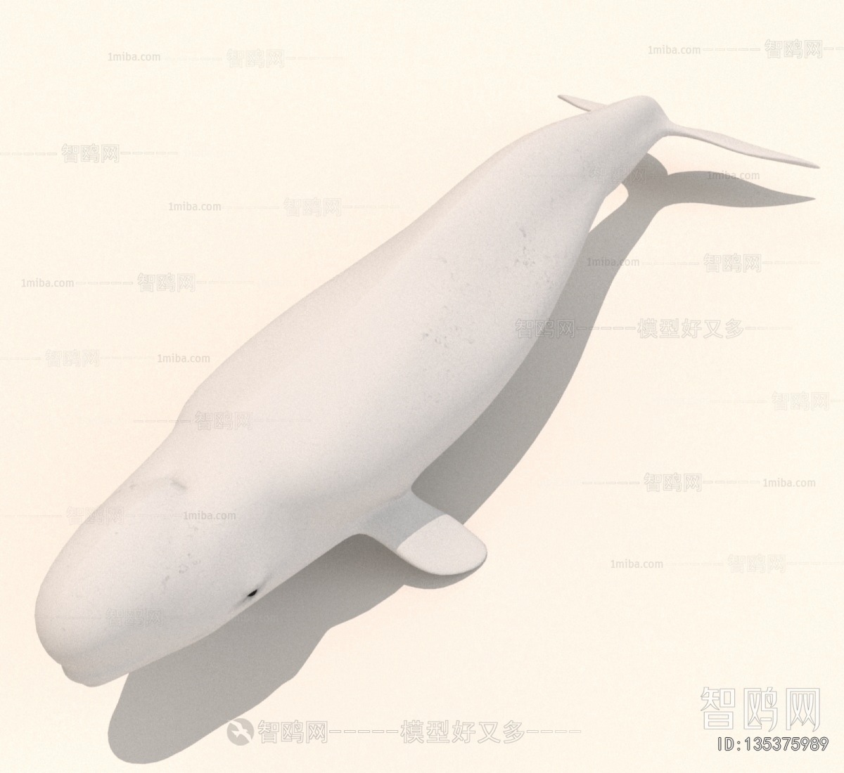 Modern Aquatic Animals