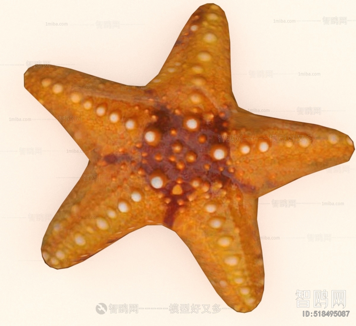 Modern Aquatic Animals