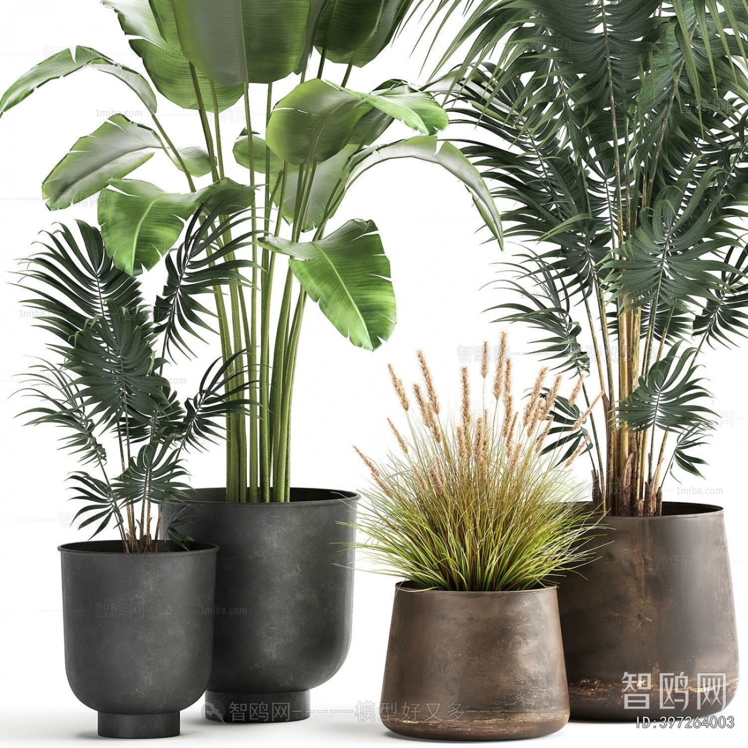 Modern Ground Green Plant Potted Plants