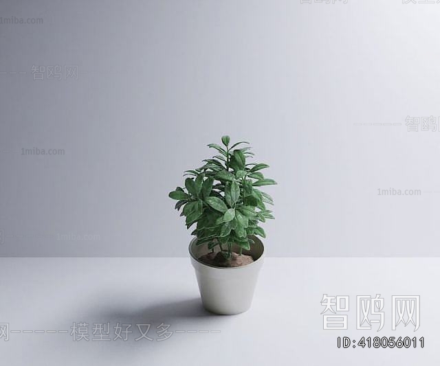 Modern Potted Green Plant
