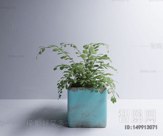 Modern Potted Green Plant