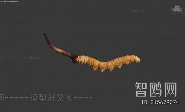 Modern Food/vegetables/fruit