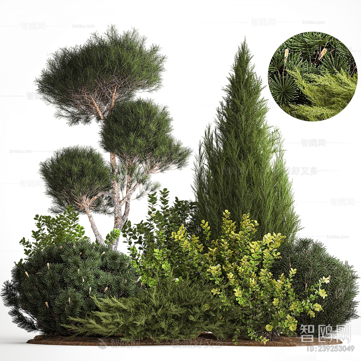 现代户外植物堆