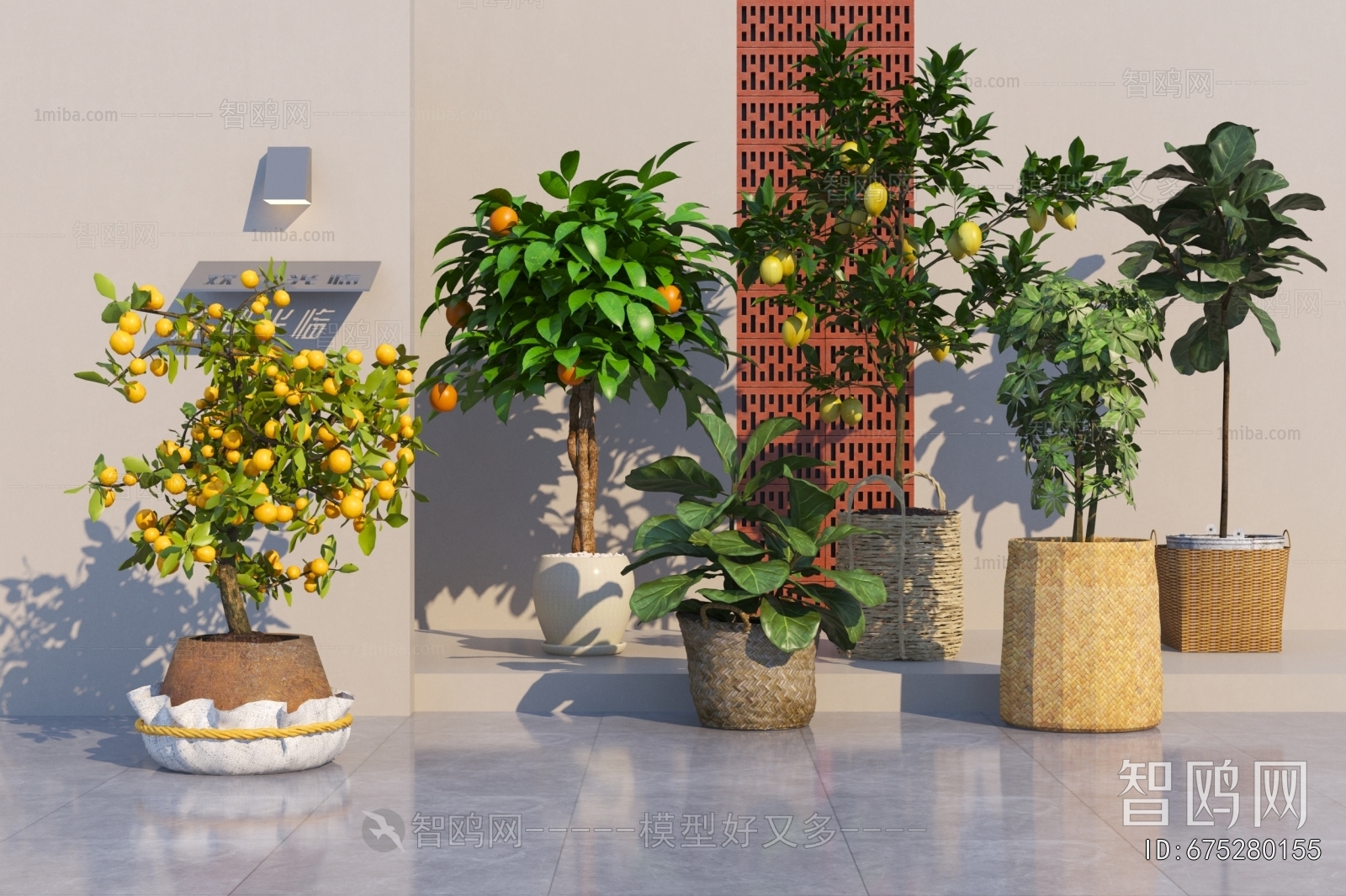 Modern Ground Green Plant Potted Plants