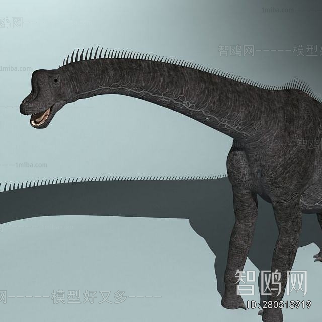 Modern Other Animals