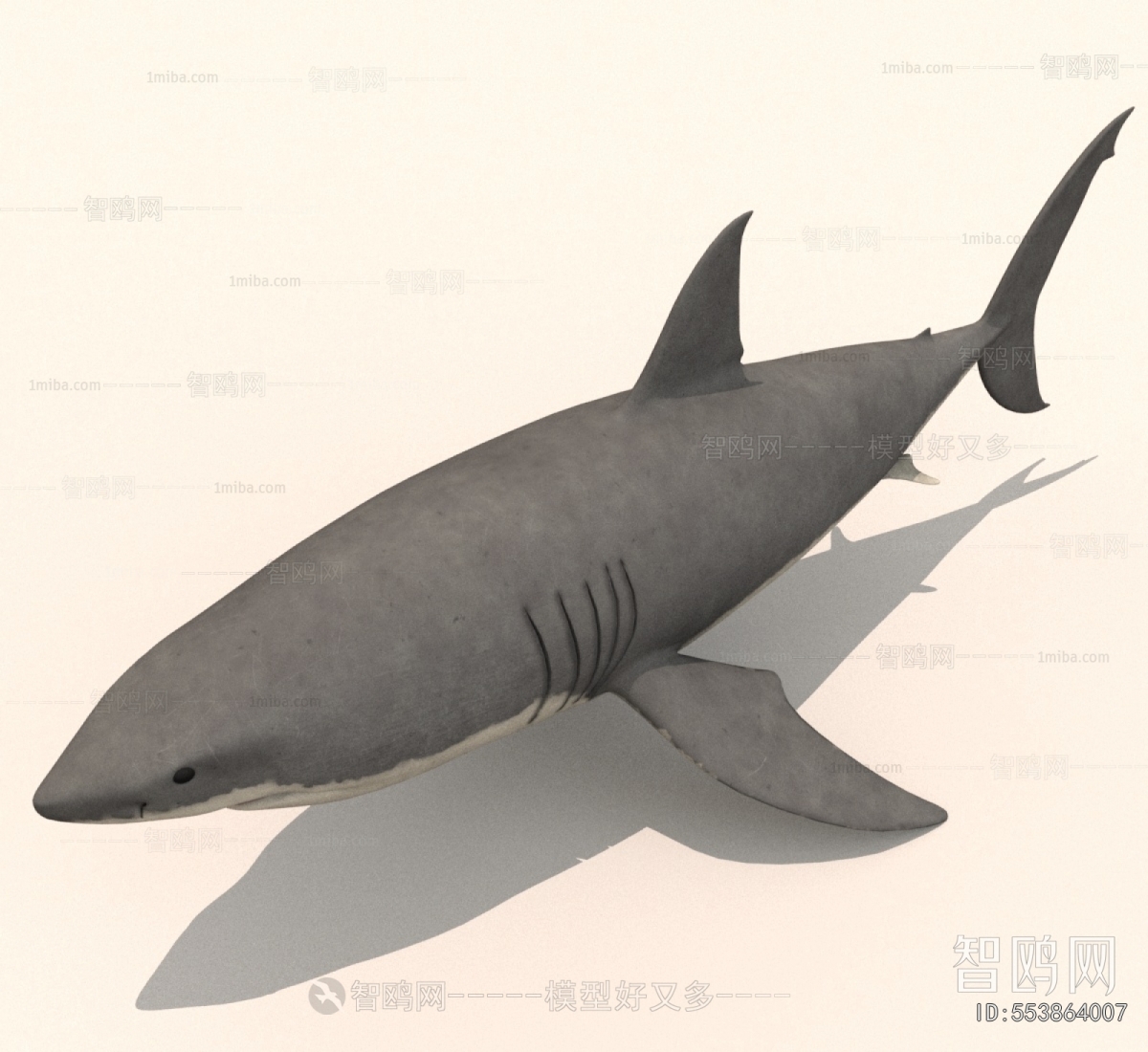 Modern Aquatic Animals