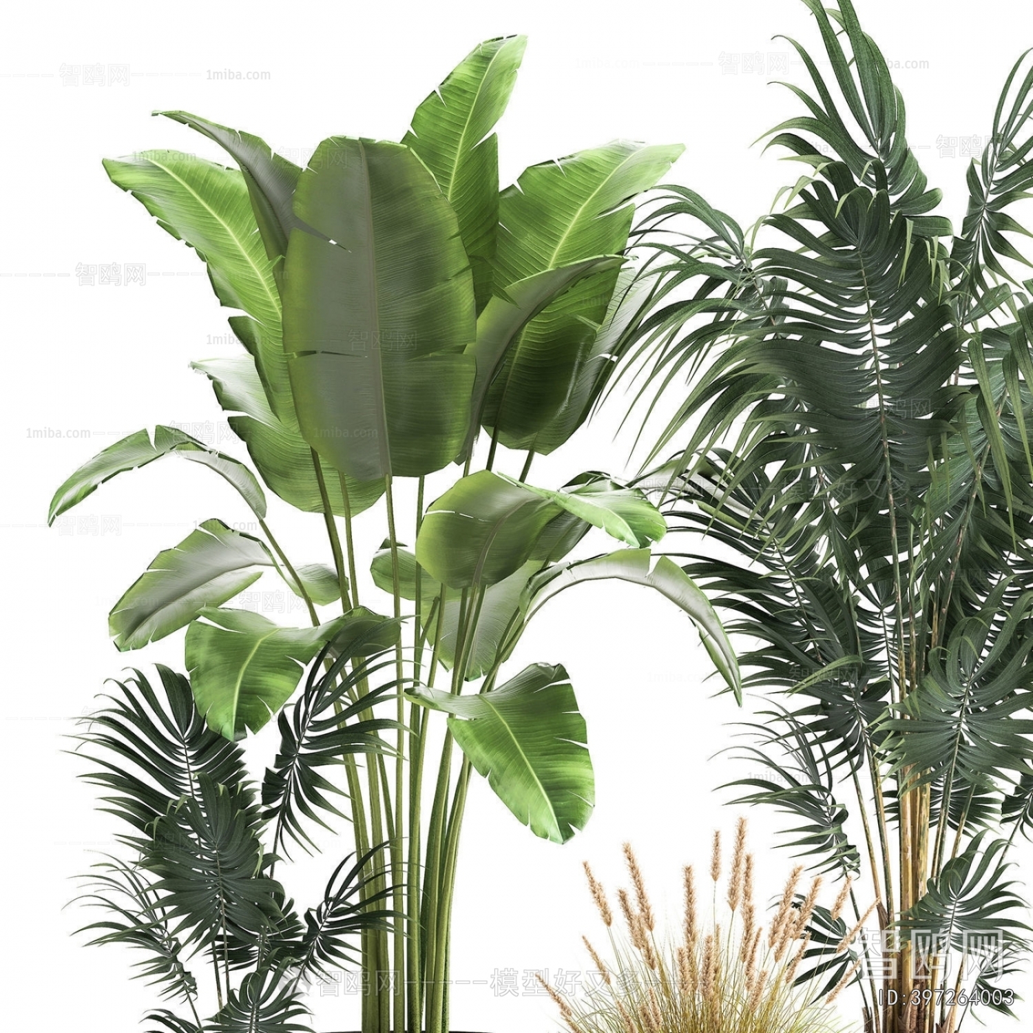 Modern Ground Green Plant Potted Plants