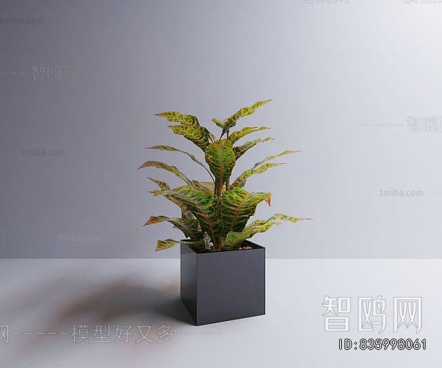Modern Potted Green Plant