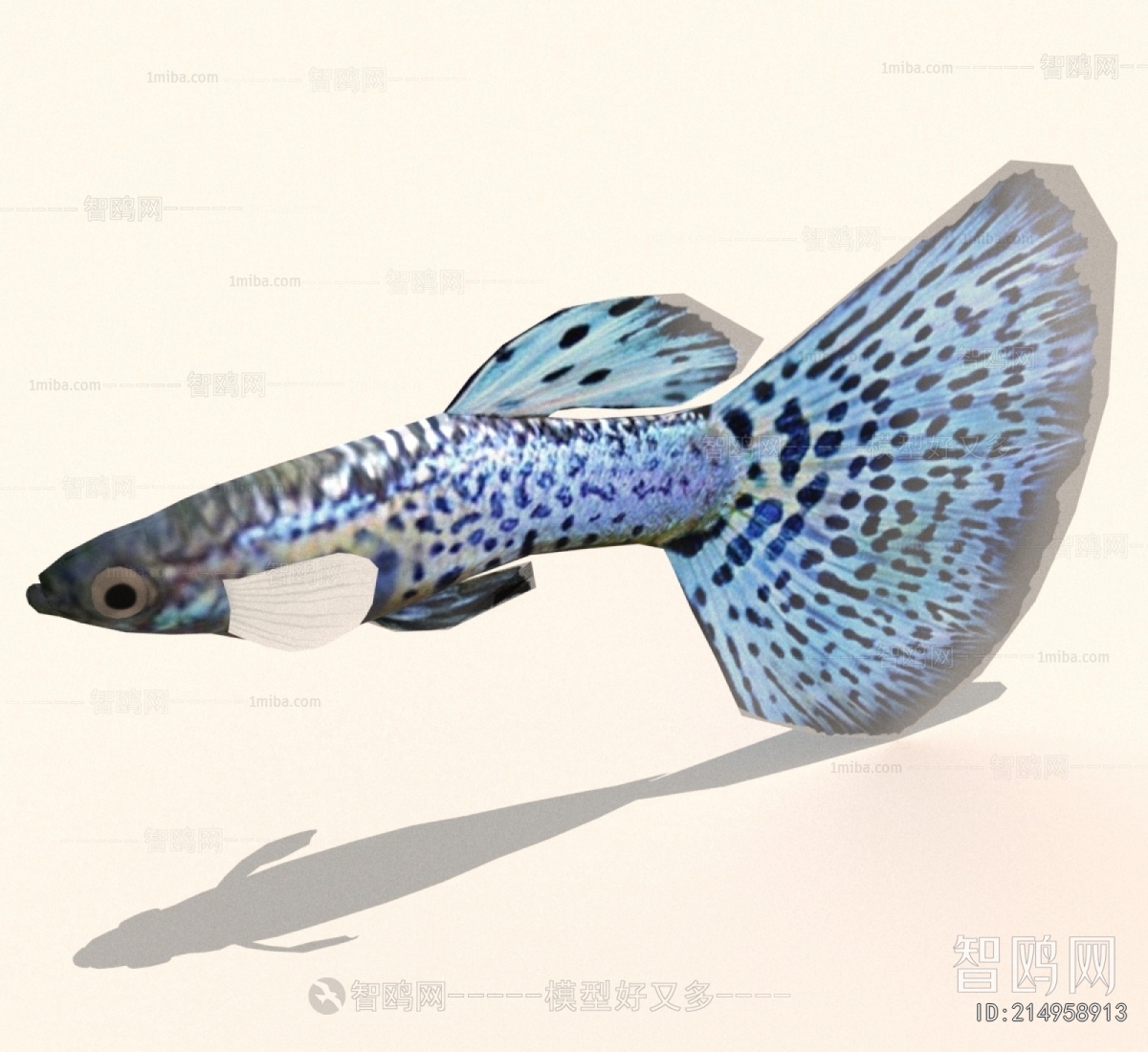 Modern Aquatic Animals